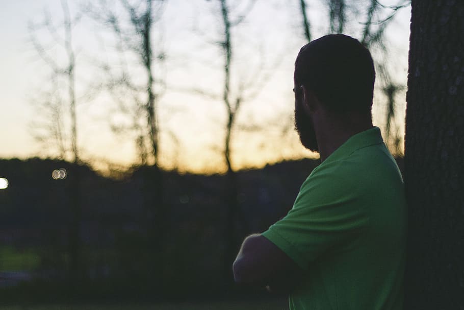 beard, man, trees, forest, woods, sunset, dusk, thinking, shirt HD wallpaper