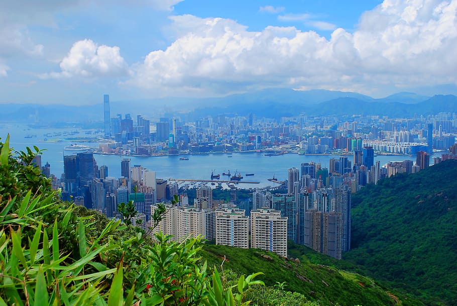 beautiful, view, landscape, combination, city, skyscraper, grass HD wallpaper