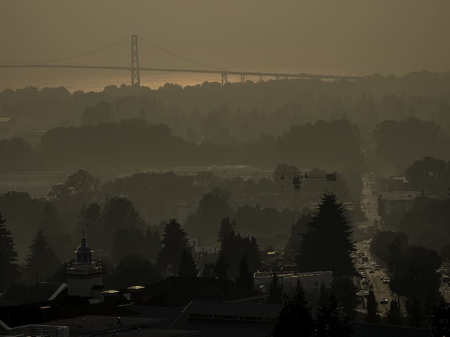 nature, weather, outdoors, fog, mist, tower, spire, architecture, HD wallpaper