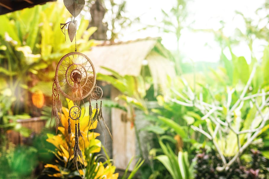 Beige Dreamcatcher Near Green Plants, art, background, beautiful HD wallpaper