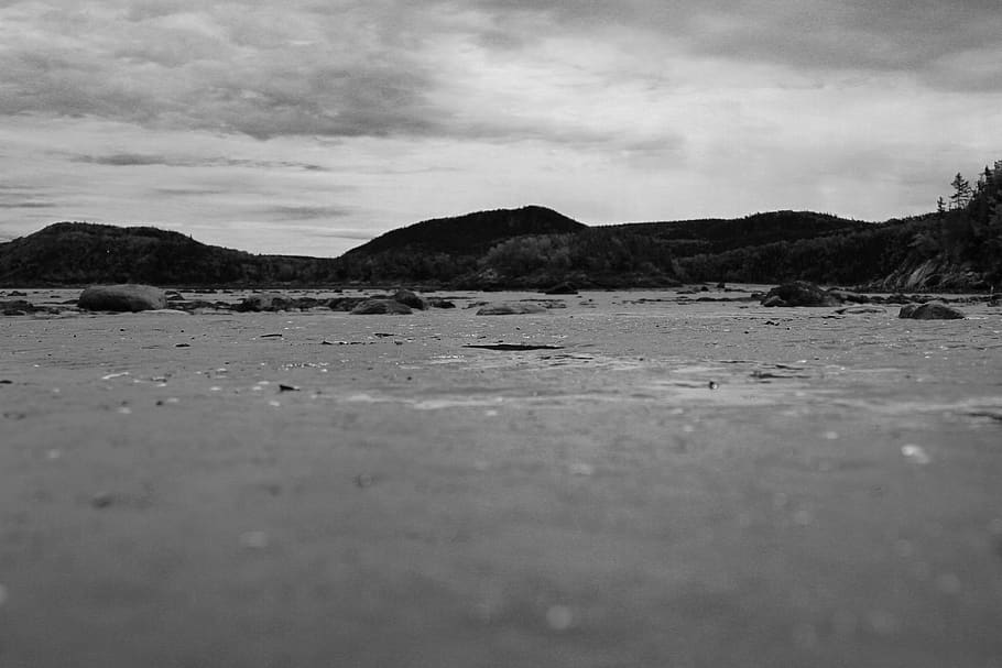 canada, île du bic, planet, space, black and white, forest HD wallpaper