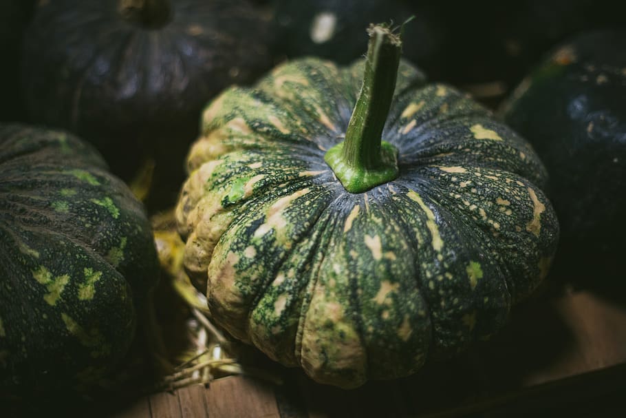 pumpkin, pumpkins, fall, green, orange, halloween, haunting HD wallpaper
