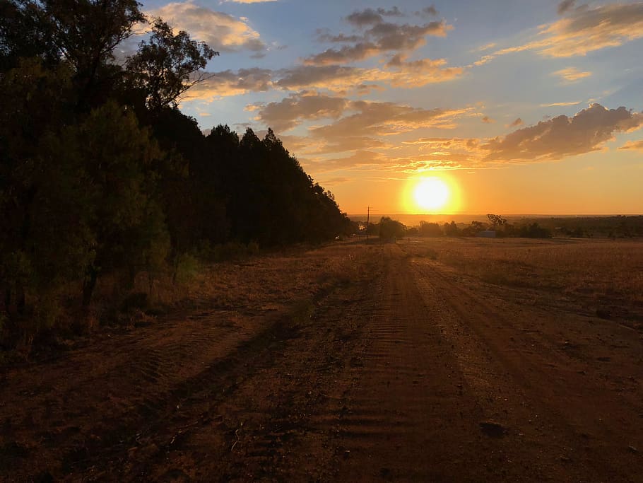 australia, dirt road, trees, sunset, sky, plant, tranquility HD wallpaper