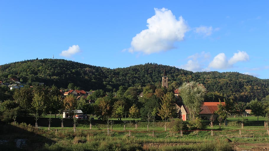 czechia, sázava, sky, tree, plant, cloud - sky, architecture HD wallpaper