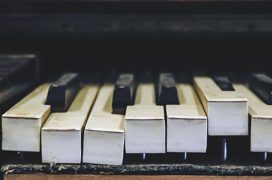 Piano Keys, close up, keyboard, musical instrument, musical equipment HD wallpaper