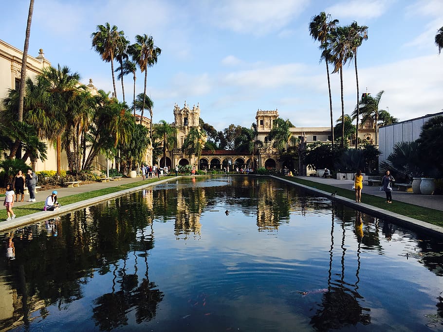 united states, san diego, balboa park, sky, pond, duck, reflection, HD wallpaper