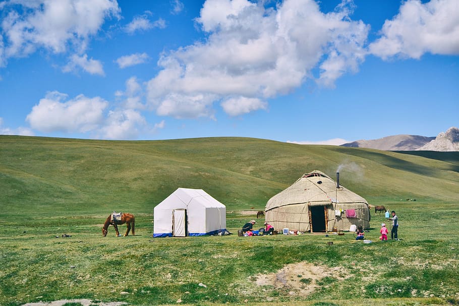 Photo of Hut And Tent On Grass Field, animal, clouds, grassland HD wallpaper