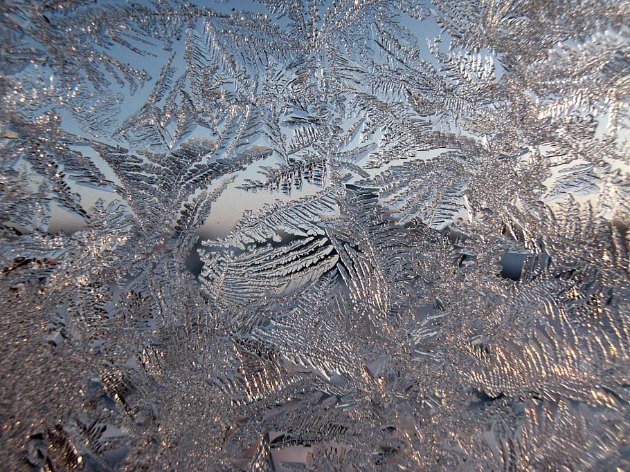 window, pattern, winter, leann, frost, glass, snow, cold temperature HD wallpaper