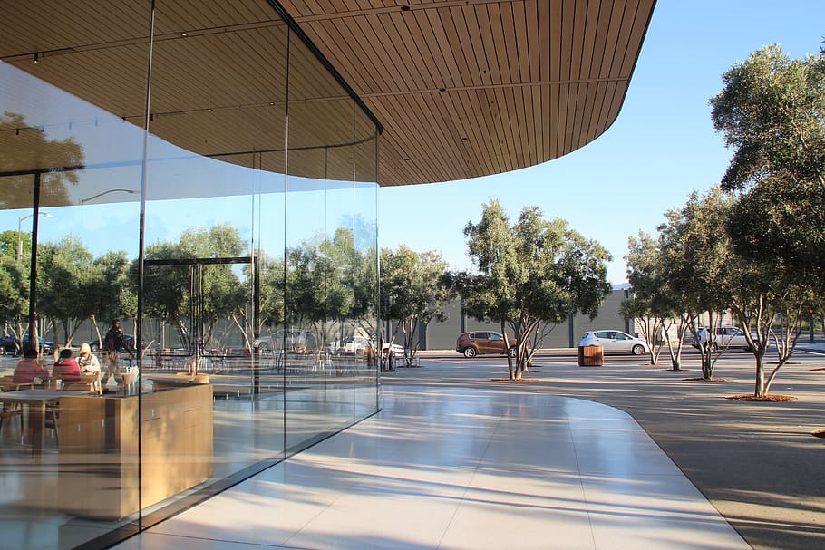 apple, apple store, shopping, business, plant, tree, architecture HD wallpaper
