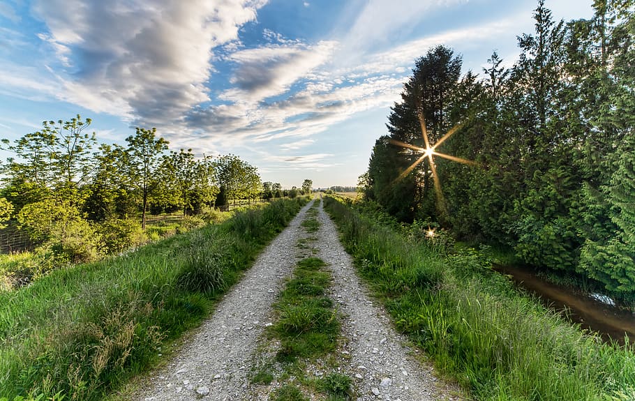 grass field and trees, plant, cloud - sky, direction, the way forward HD wallpaper