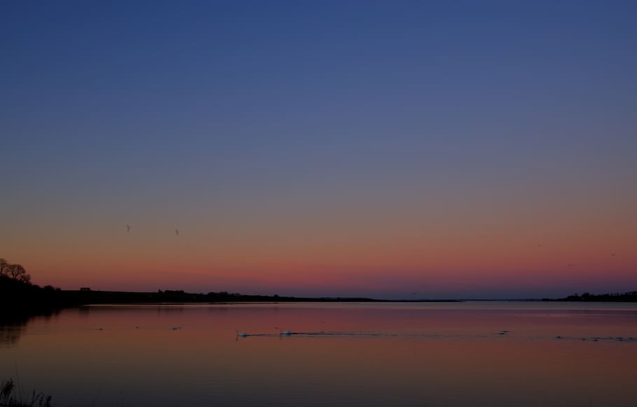 sunset, sea, sky, red, swans, blue, horizon, water, scenics - nature HD wallpaper