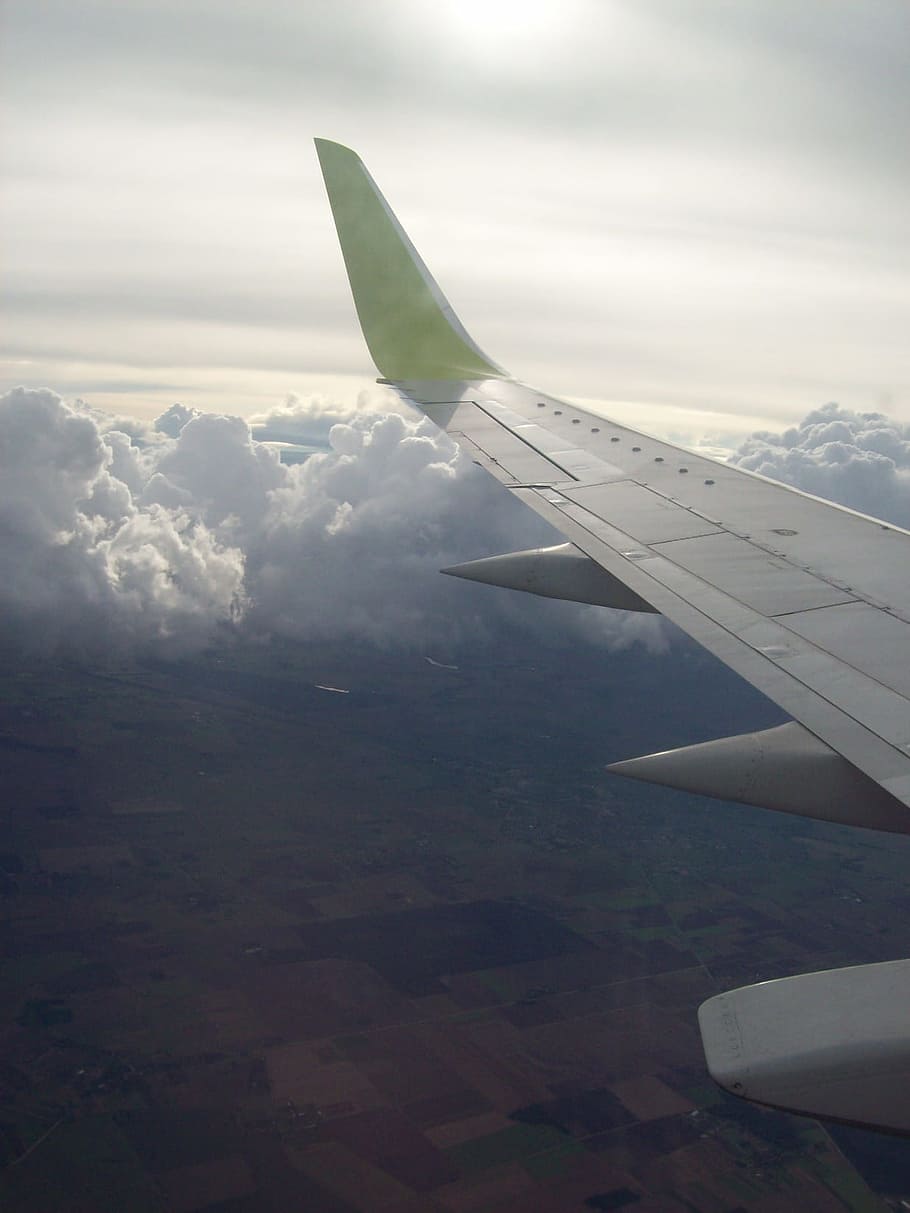 Little flight. Крыло самолета. Крыло самолета дерево. Фото на аву крыло самолета.