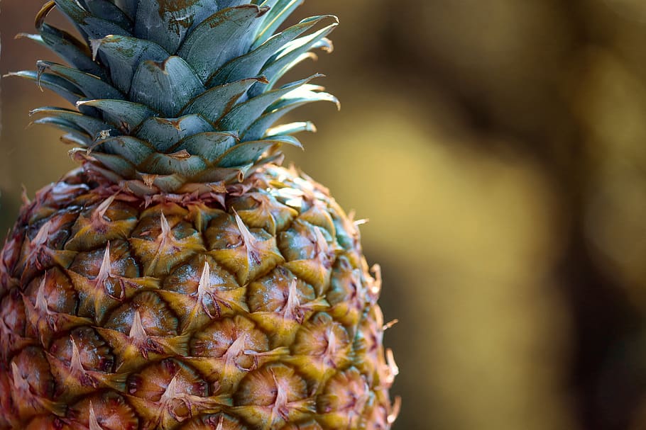 pineapple, tropical fruit, exotic, vitamins, food, healthy HD wallpaper