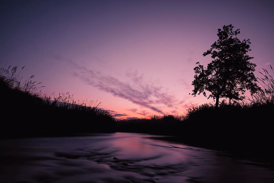 denmark, hadsten, tree, water, nature, sky, river, plant, sunset HD wallpaper