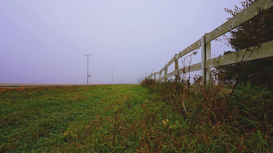 fence, nature, boundries, grass, green, fog, foggy day, power lines HD wallpaper