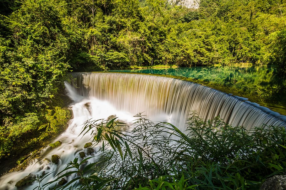 cascading waterfalls, tree, palm tree, flora, arecaceae, plant HD wallpaper