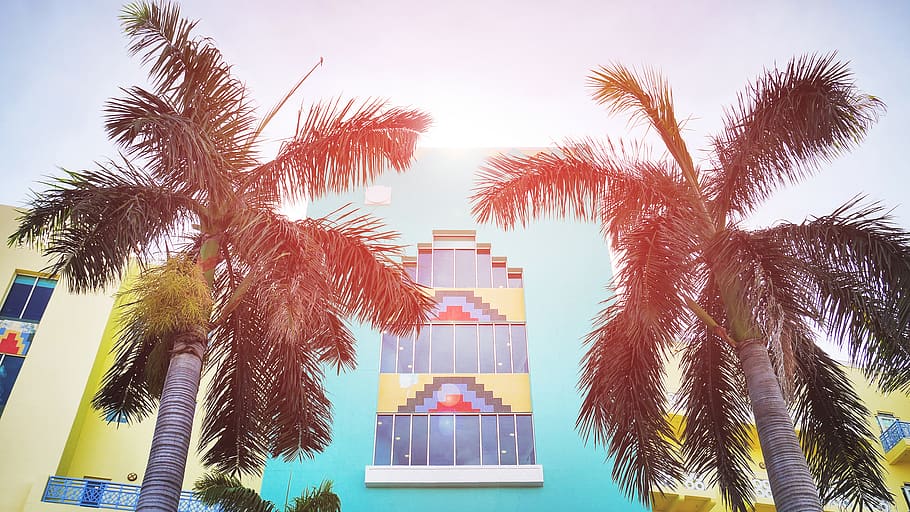 low-angle photography of teal building, palm tree, tropical climate