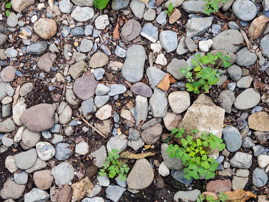 Rocks and Leaves, Macro, Nature, Objects, dirt, green leaves HD wallpaper