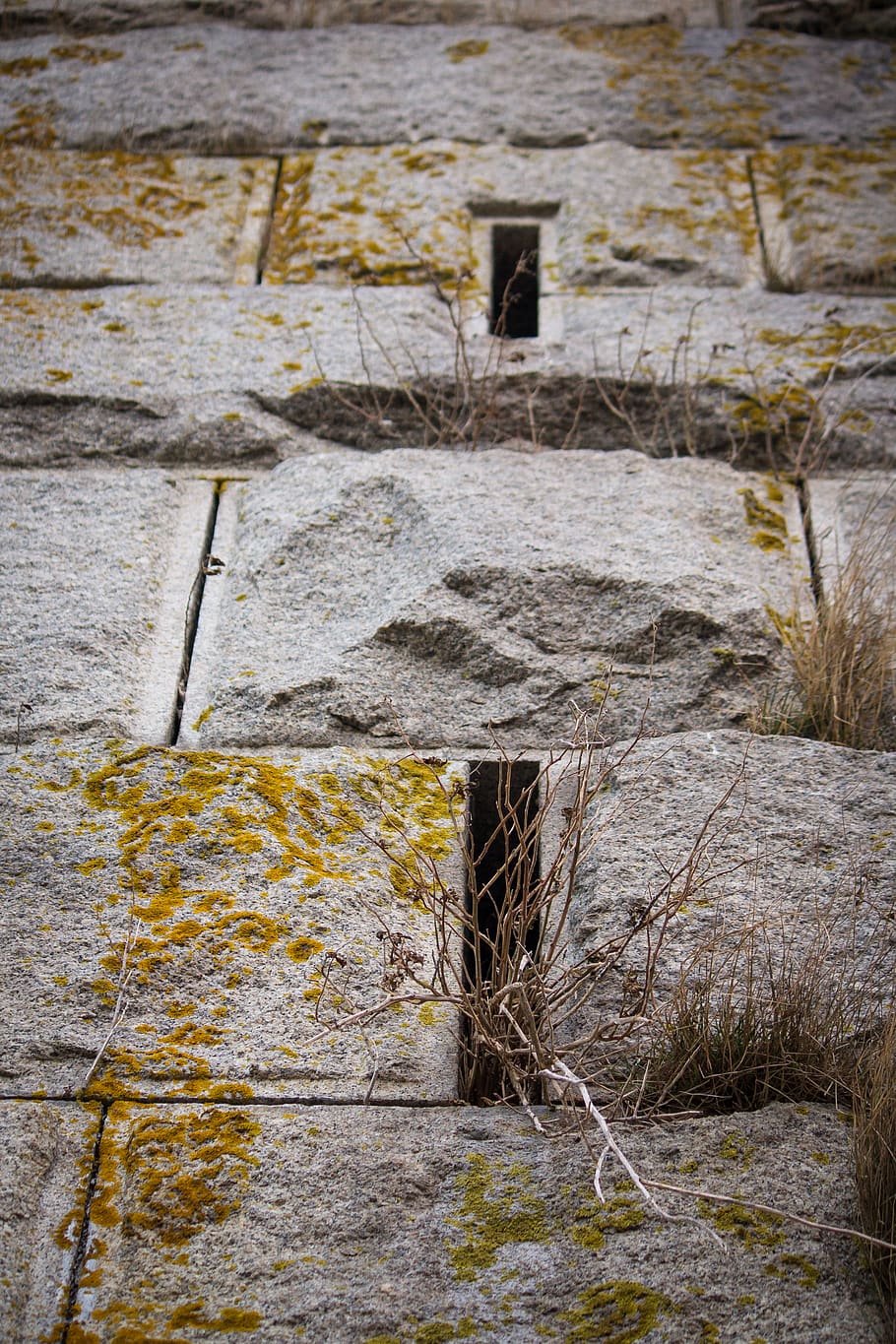 flagstone, slate, walkway, path, rock, plant, pavement, sidewalk HD wallpaper