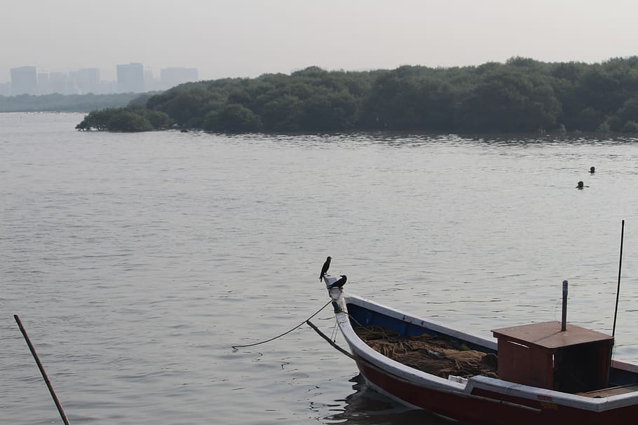 City fisherman