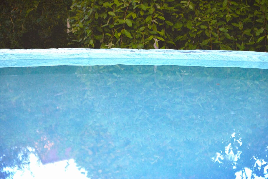 water, pool, green, blue, summer, swimming pool, day, nature HD wallpaper
