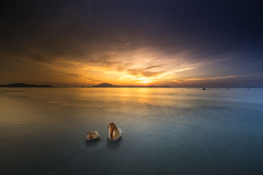 Landscape Photography of Ocean during Golden Hour, beach, clouds HD wallpaper