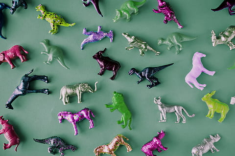 Plastic Animal Toy Lot, animals, assorted, close-up, collections HD wallpaper