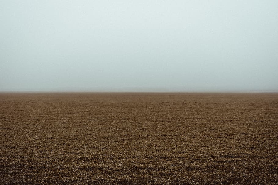 brown field, environment, landscape, copy space, nature, horizon over land HD wallpaper