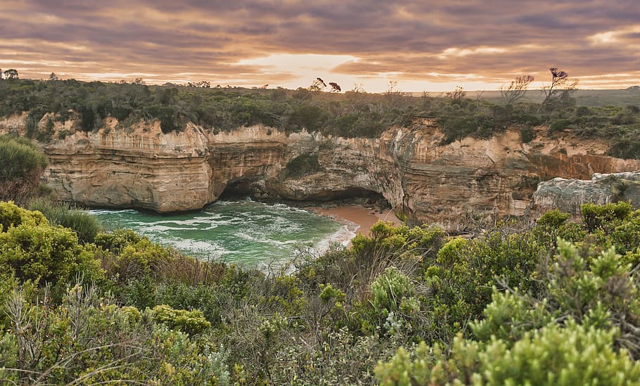 Body of Water Surrounded by Trees, beach, cliff, cliffs, daylight HD wallpaper