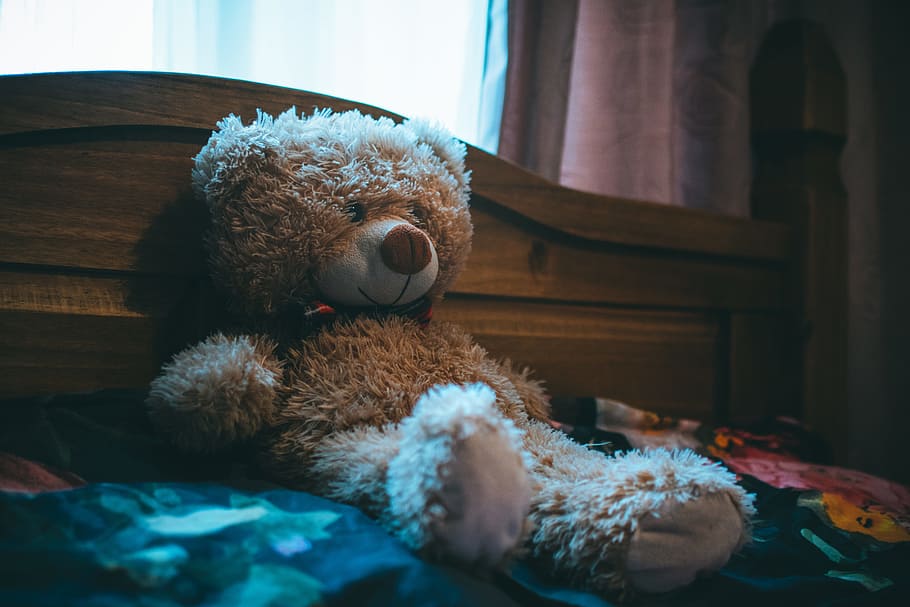 Brown Bear Leaning on Bed Headboard, bedroom, blanket, curtain HD wallpaper