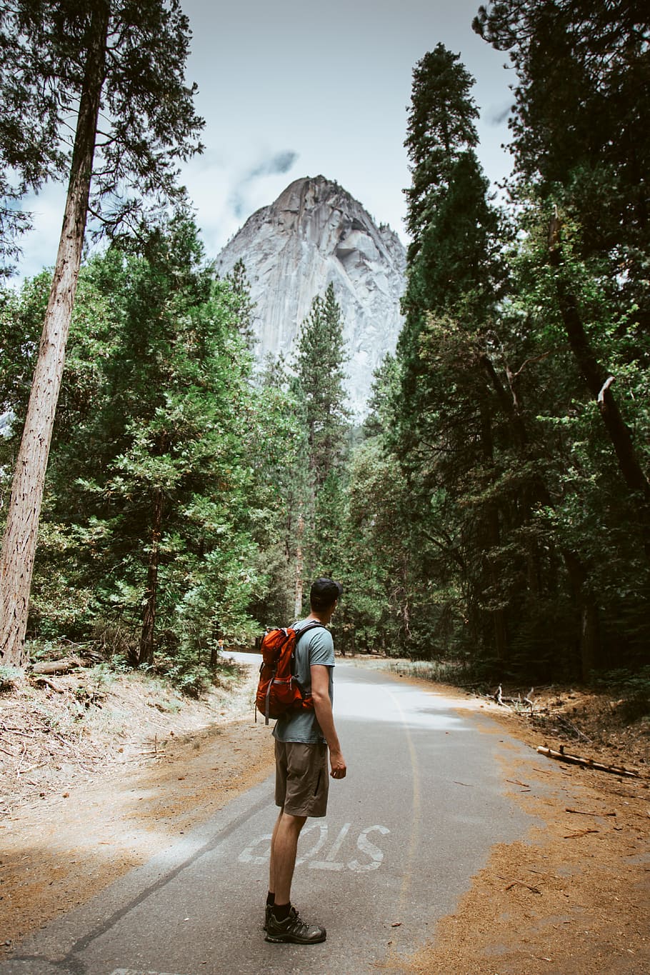 man carrying red camping backpack near mountain, outdoor, nature HD wallpaper