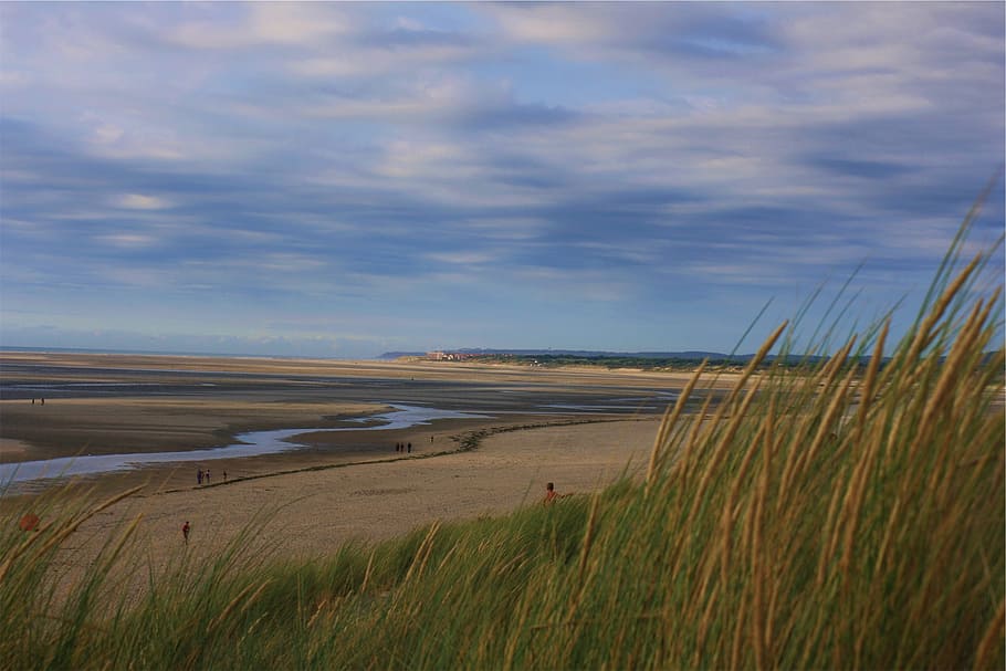 plants, beach, puddles, sand, dry, people, blue, sky, clouds HD wallpaper