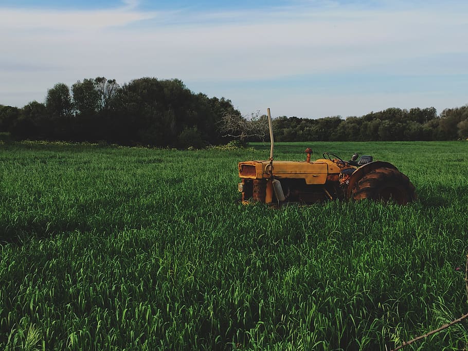 tractor, farm, grass, green, rural, countryside, trees, nature HD wallpaper