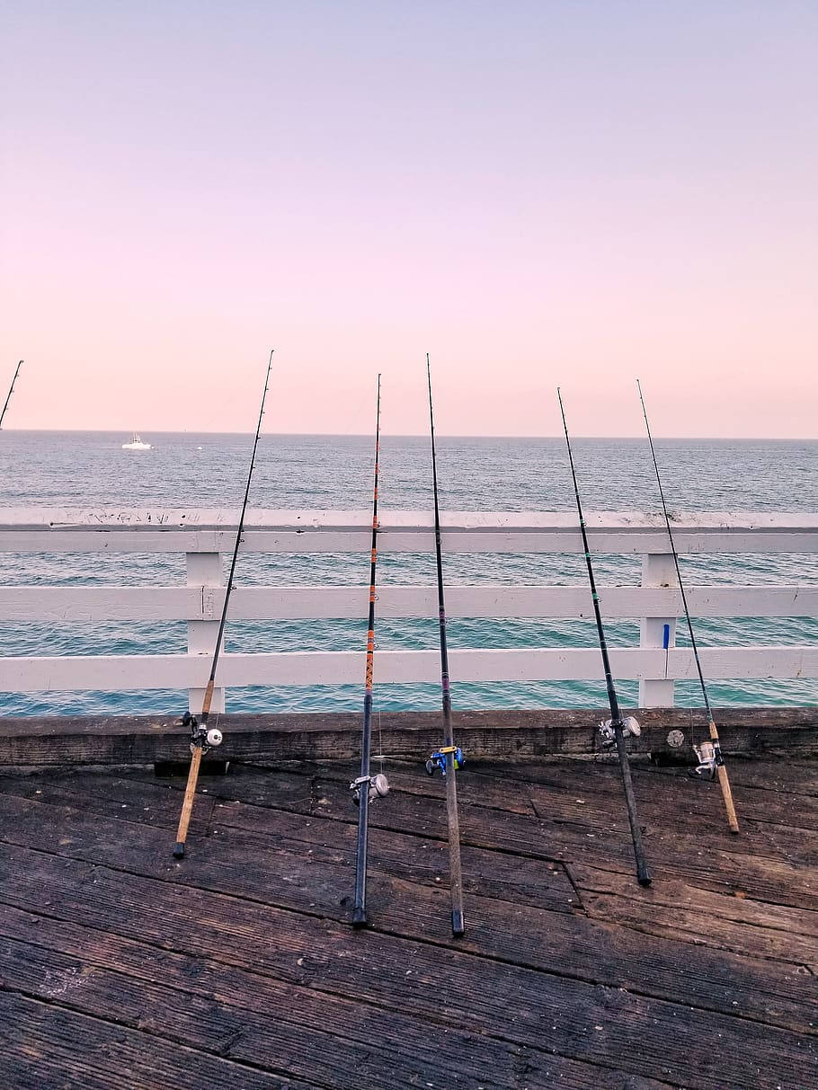 five fishing rods, sea, sky, water, horizon over water, beach HD wallpaper