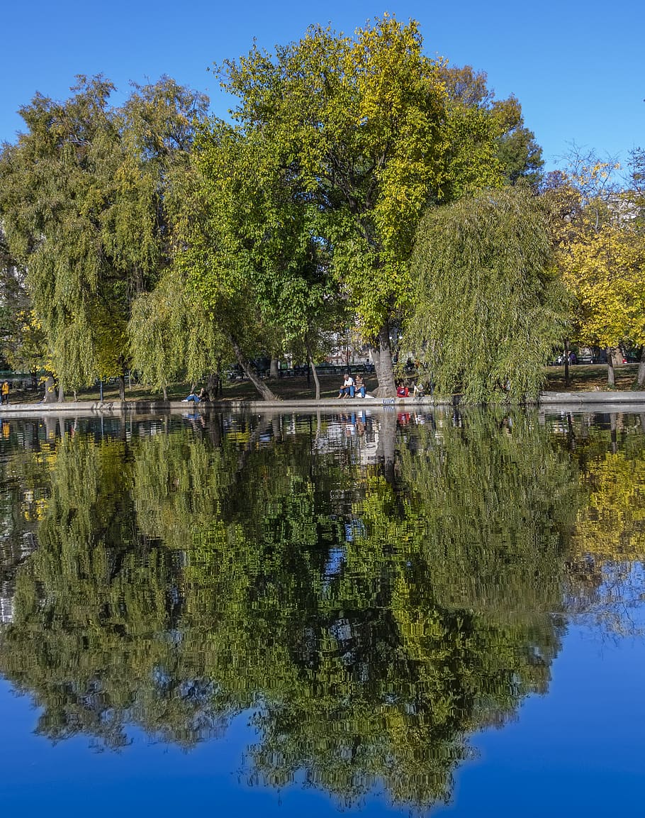 park, reflection, lake, nature, tree, plant, water, waterfront HD wallpaper