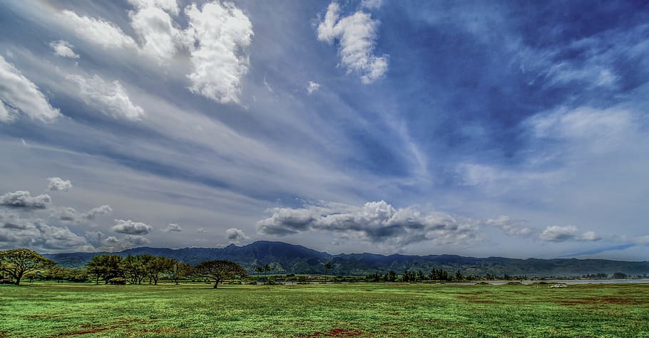 Green Grass Field Under White and Blue Sky at Daytime, clouds HD wallpaper