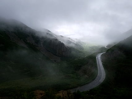 view of heaven, road, cloud, forest, valley, mist, misty, fog HD wallpaper