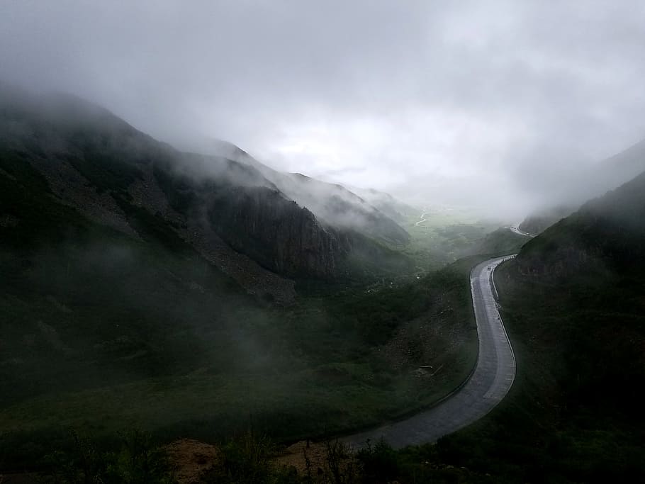 view of heaven, road, cloud, forest, valley, mist, misty, fog HD wallpaper
