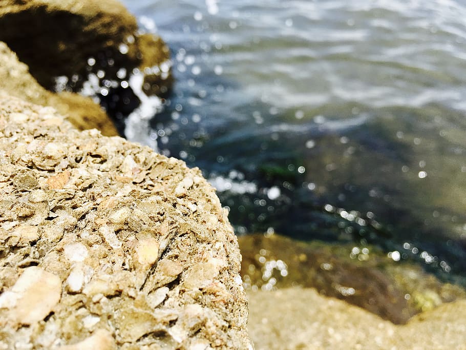 summer, shore, beach, water, tropical, focus on foreground HD wallpaper