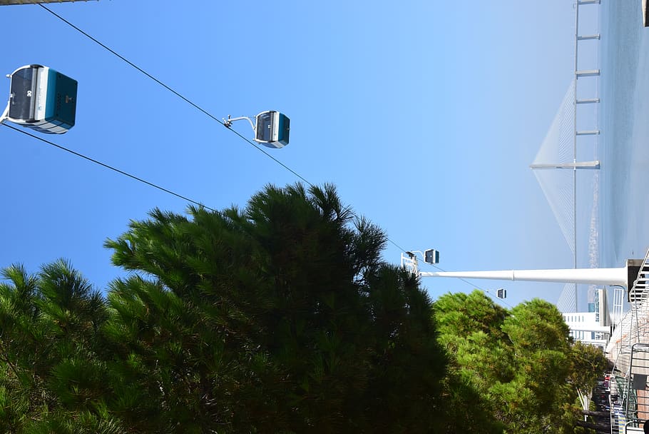 portugal, lisbon, tree, plant, sky, street light, nature, architecture HD wallpaper