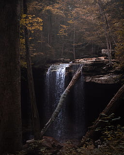 waterfalls in brown forest, tree, wood, dark, cave, log, travel HD wallpaper