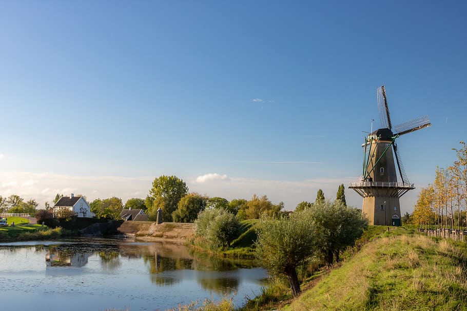 mill, water, trees, wind mill, historical, plant, sky, alternative energy HD wallpaper
