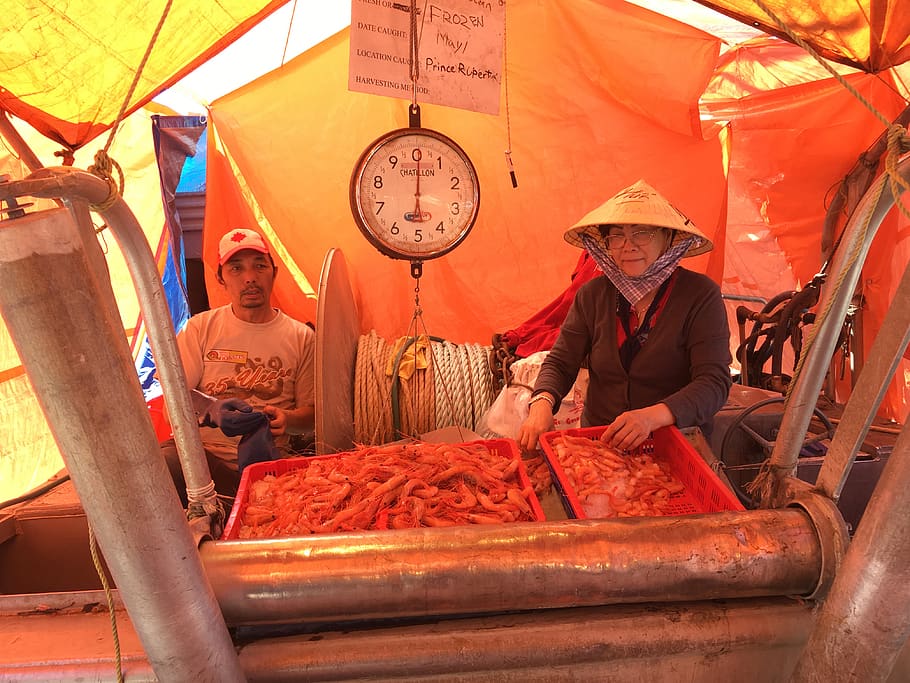 canada, richmond, steveston fisherman’s wharf, fishing, shrimp