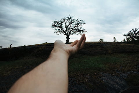 person pointing tree, finger, road, dirt road, gravel, grass HD wallpaper