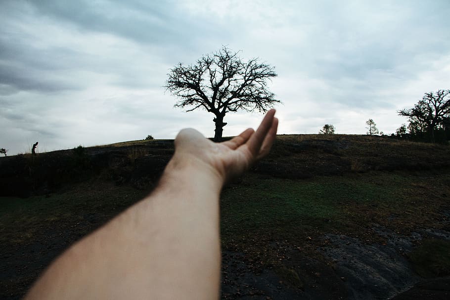 person pointing tree, finger, road, dirt road, gravel, grass HD wallpaper