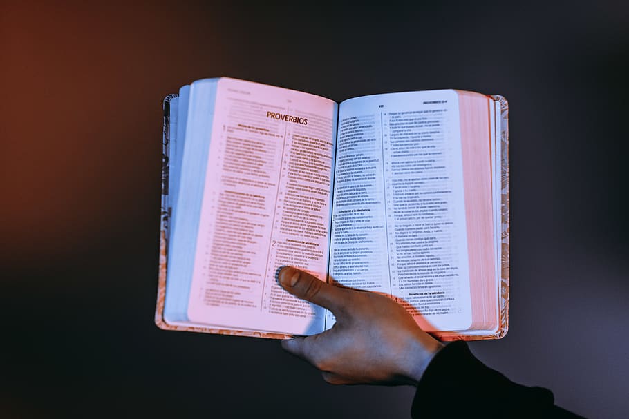 Holy Bible, book, text, page, human, person, spanish, proverbs HD wallpaper