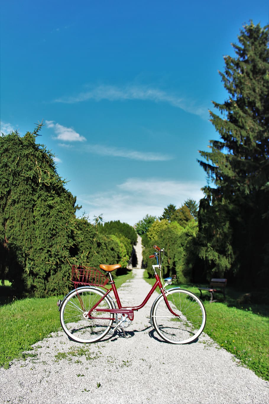 Red Cruiser Bike , bicycle, daylight, grass, path, transportation HD wallpaper