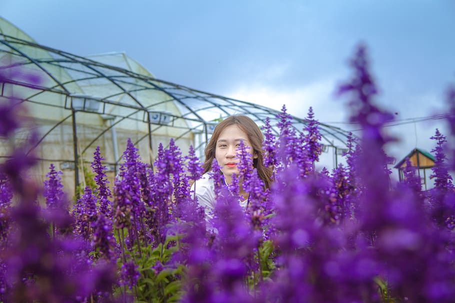 Woman Standing Behind Purple Petaled Flowers, beautiful, bloom HD wallpaper