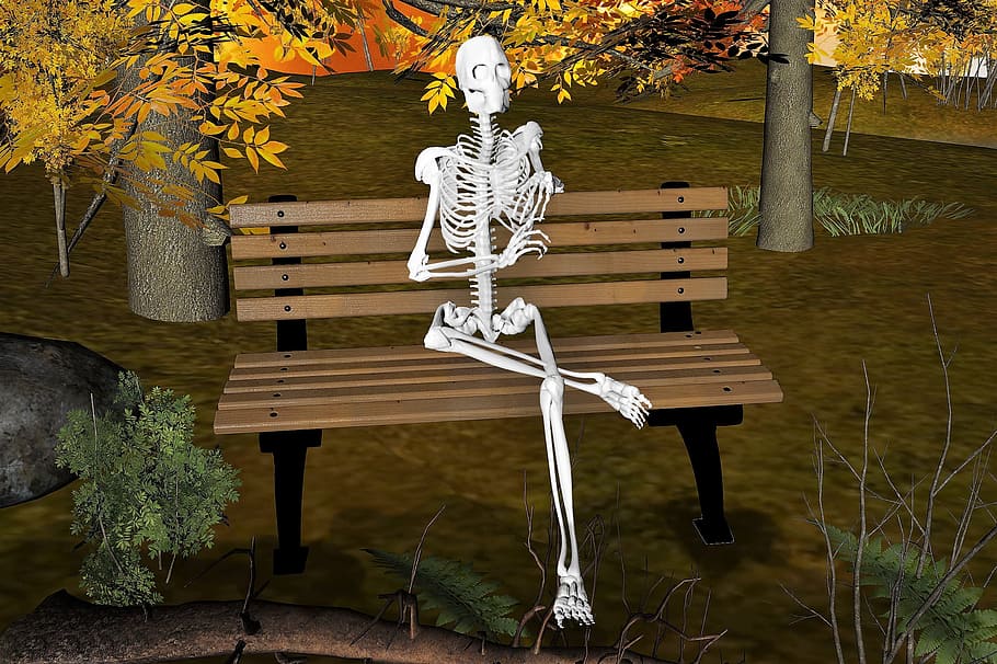 skeleton, bench, forest, fantasy, mysterious, surreal, creepy HD wallpaper