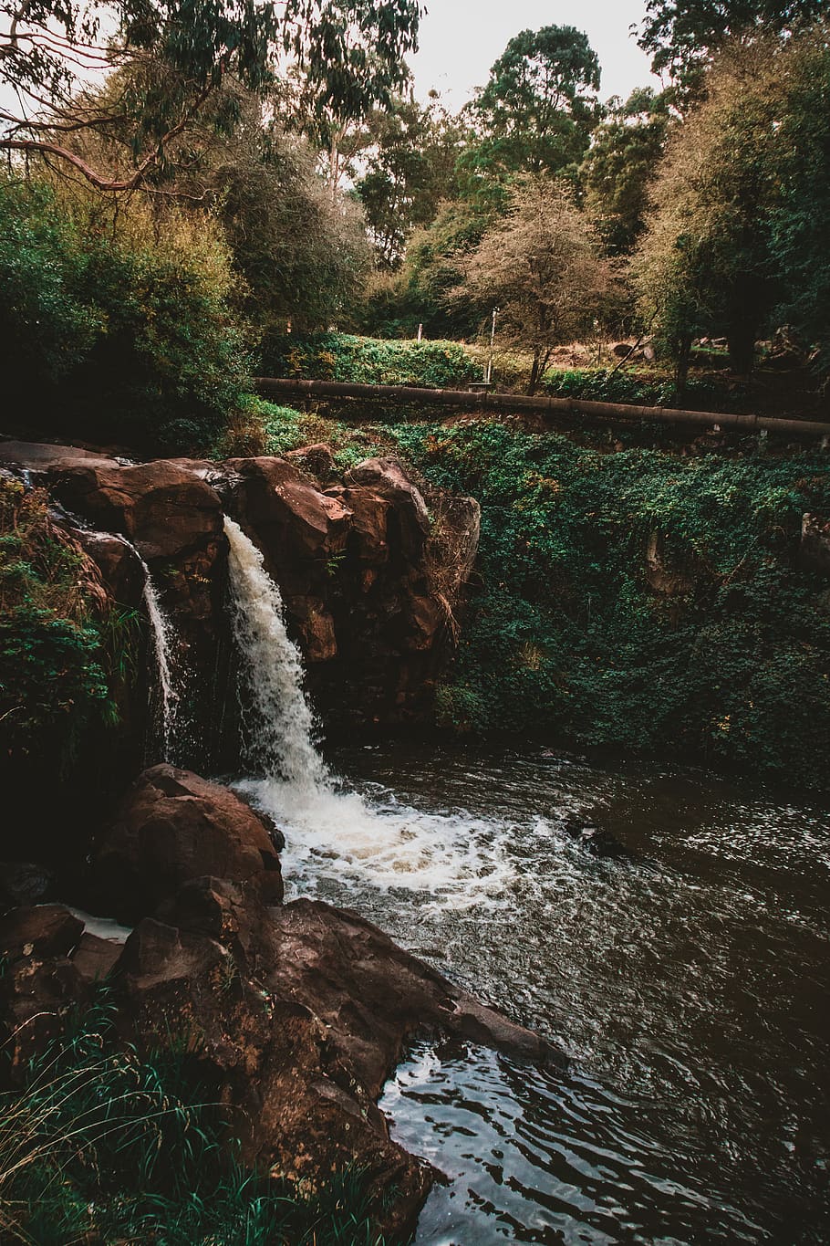 waterfalls during daytime, nature, plant, stream, creek, outdoors HD wallpaper